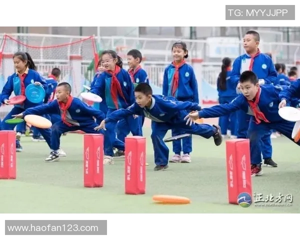 刘静独家分享飞盘技巧与心得体会助你轻松掌握这项运动的乐趣与魅力